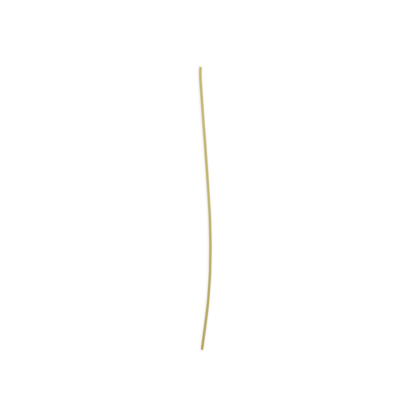 Spaghetti al Bronzo