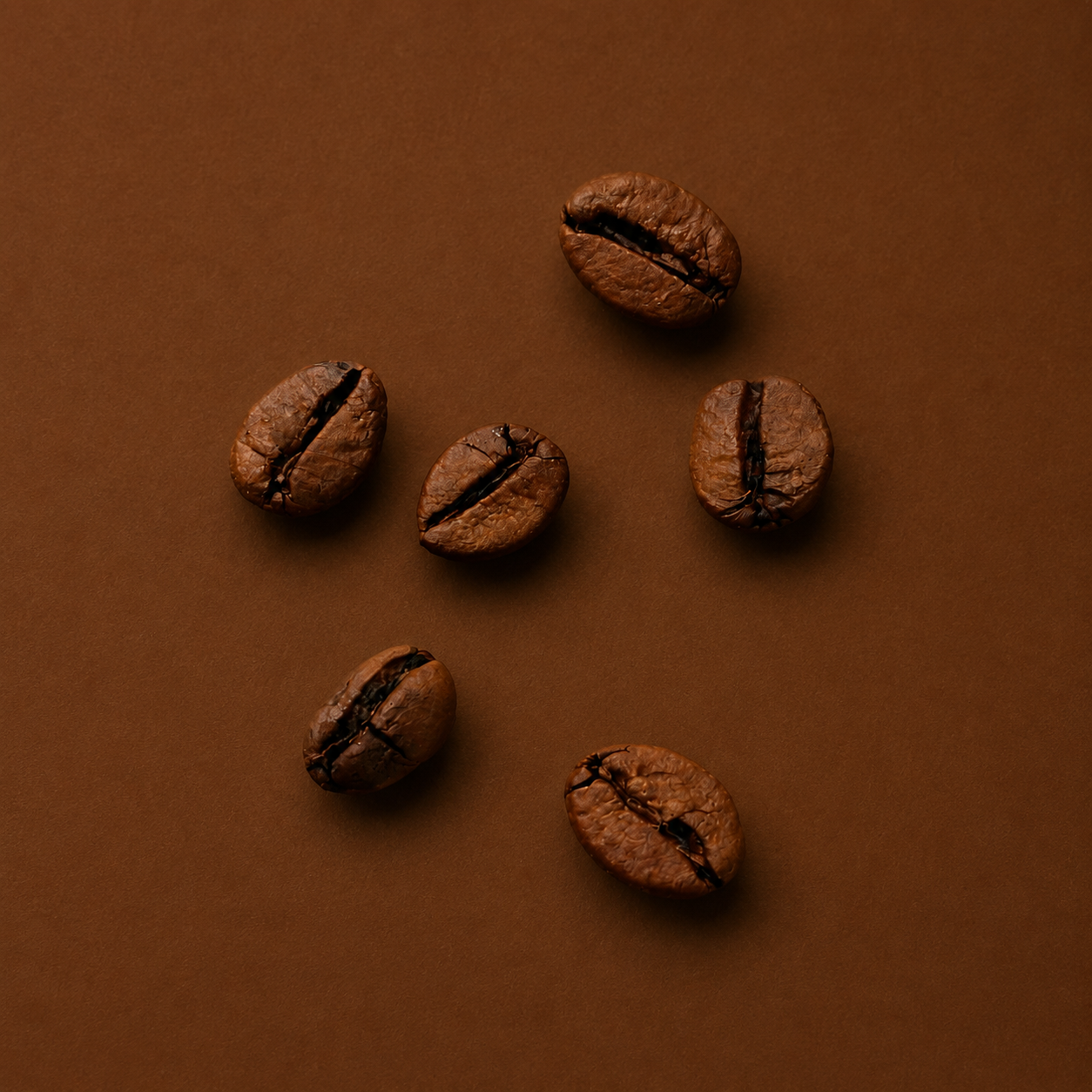 6 x 250 g (1,5 kg) Espresso "Sud Italiano" - Ganze Bohnen
